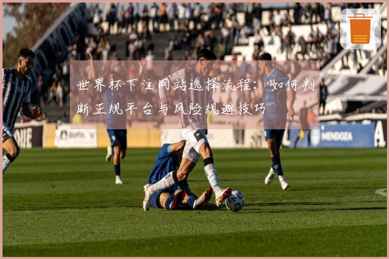 世界杯下注网站选择流程：如何判断正规平台与风险规避技巧