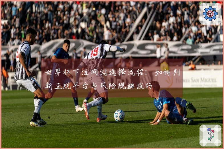 世界杯下注网站选择流程：如何判断正规平台与风险规避技巧