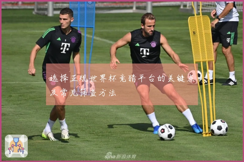 选择正规世界杯竞猜平台的关键点及常见筛查方法